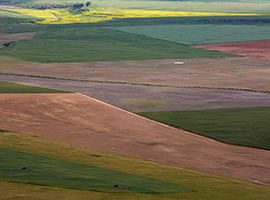 land for sale south africa